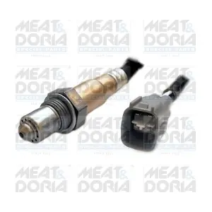 81670 MEAT & DORIA