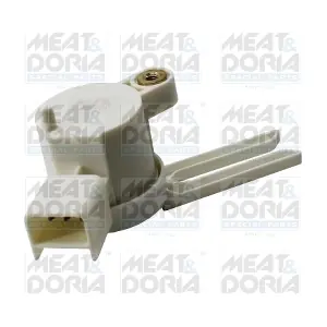 35232 MEAT & DORIA