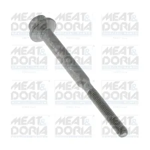 98825 MEAT & DORIA