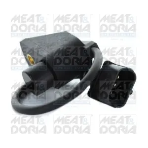 87325 MEAT & DORIA