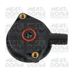 91702 MEAT & DORIA