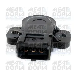 83144 MEAT & DORIA