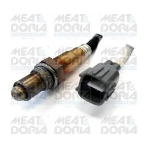81535 MEAT & DORIA