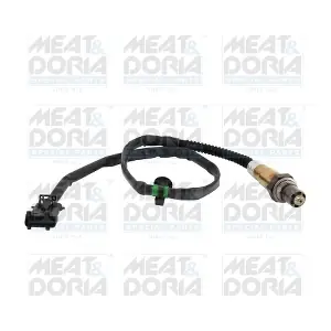 81091 MEAT & DORIA