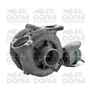 65001 MEAT & DORIA