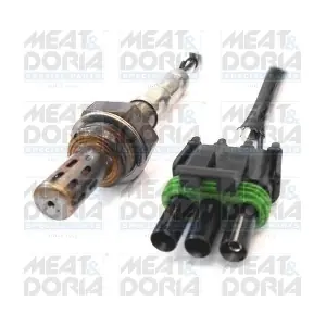 81015 MEAT & DORIA
