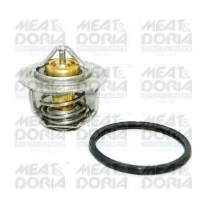 92211 MEAT & DORIA