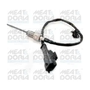12016E MEAT & DORIA