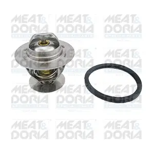 92321 MEAT & DORIA