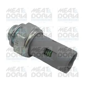 72062 MEAT & DORIA