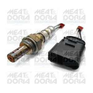 81098 MEAT & DORIA