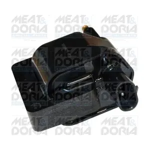 10567 MEAT & DORIA