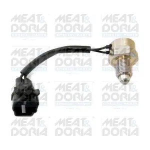 36069 MEAT & DORIA