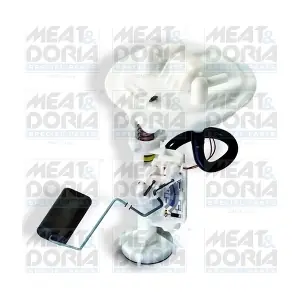 79012 MEAT & DORIA
