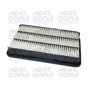 16005 MEAT & DORIA