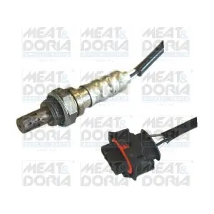 81565 MEAT & DORIA
