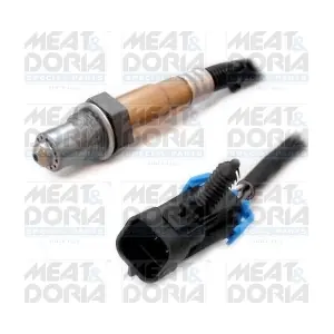 81568 MEAT & DORIA