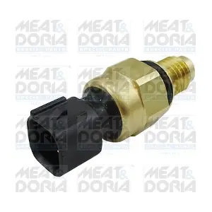 72098 MEAT & DORIA