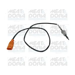 12236E MEAT & DORIA