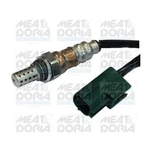 81587 MEAT & DORIA