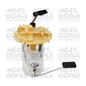 79269 MEAT & DORIA