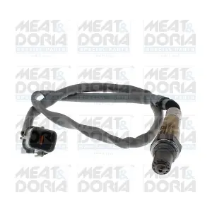 811105 MEAT & DORIA