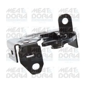 31730 MEAT & DORIA