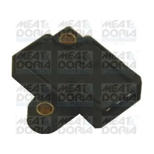 10066 MEAT & DORIA