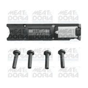 10481 MEAT & DORIA
