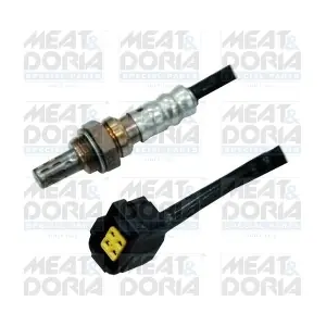 81731 MEAT & DORIA