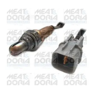81682 MEAT & DORIA