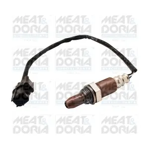 811028 MEAT & DORIA