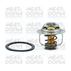 92365 MEAT & DORIA