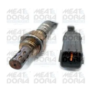 81809 MEAT & DORIA