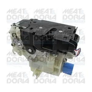 31075 MEAT & DORIA