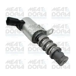 91578 MEAT & DORIA