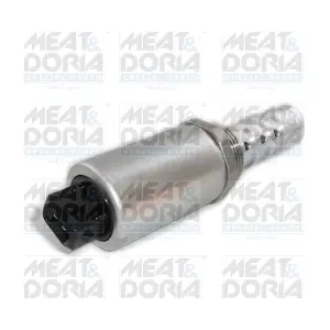 91560 MEAT & DORIA