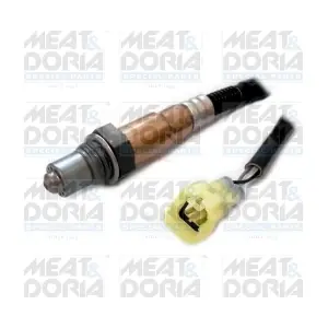 81075 MEAT & DORIA