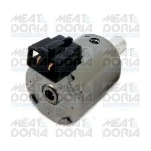 91520 MEAT & DORIA