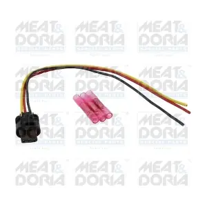 25502 MEAT & DORIA