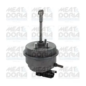 64061 MEAT & DORIA