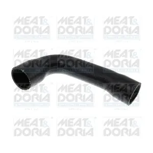961070 MEAT & DORIA