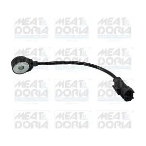 875031 MEAT & DORIA