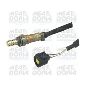 81574 MEAT & DORIA