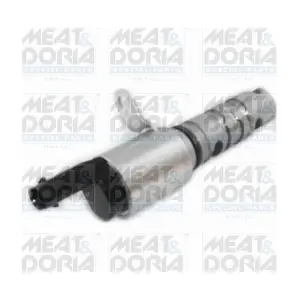 91559 MEAT & DORIA