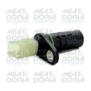 87463 MEAT & DORIA