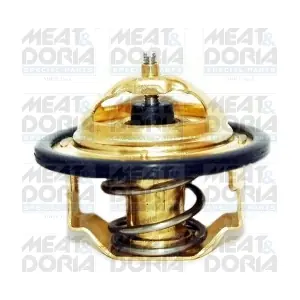 92182 MEAT & DORIA