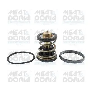 92971 MEAT & DORIA