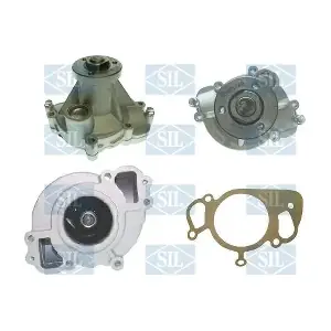 PA1407 Saleri SIL