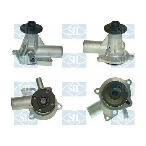 PA434 Saleri SIL